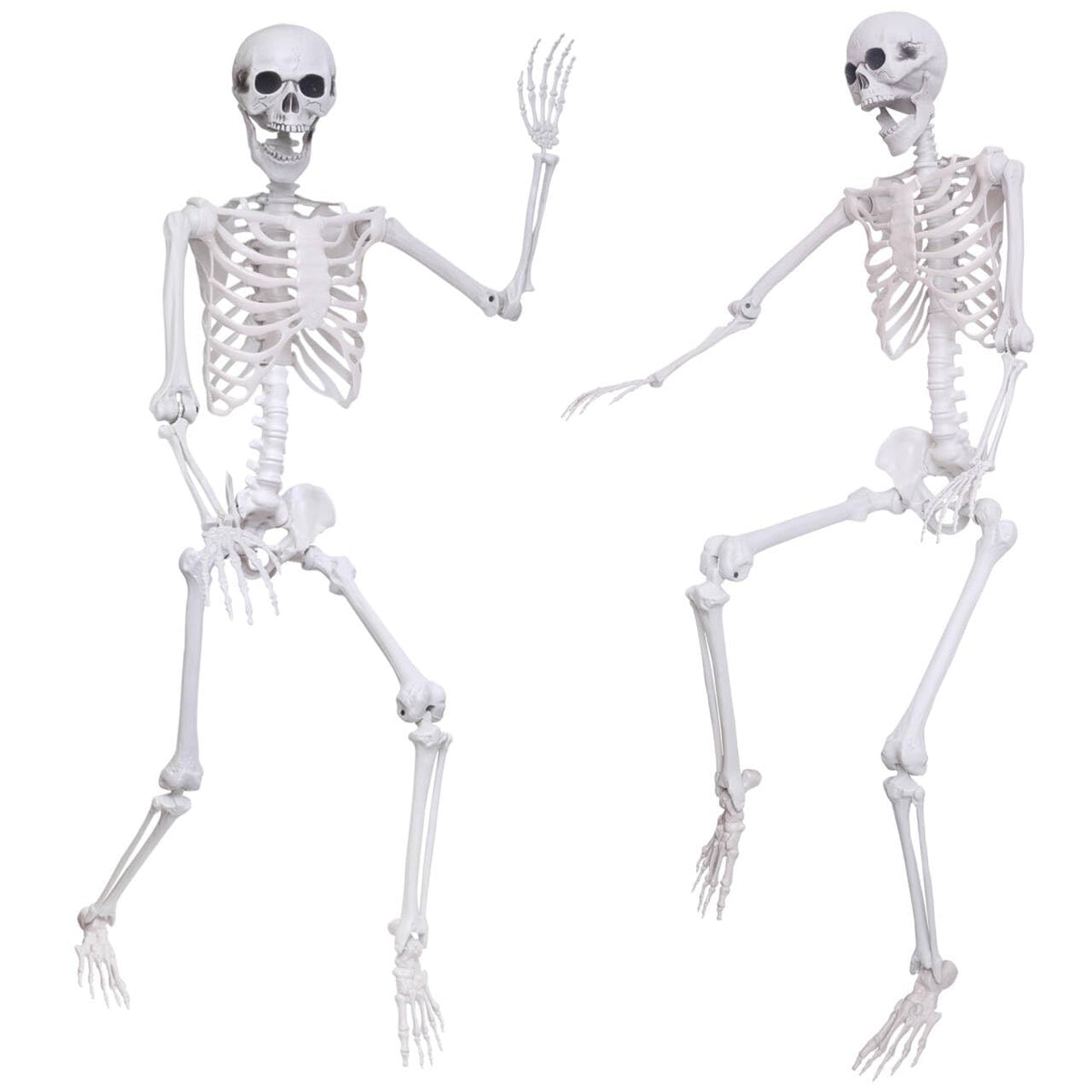 5.4Ft 2PCS Posable Skeleton with Movable Joints M763
