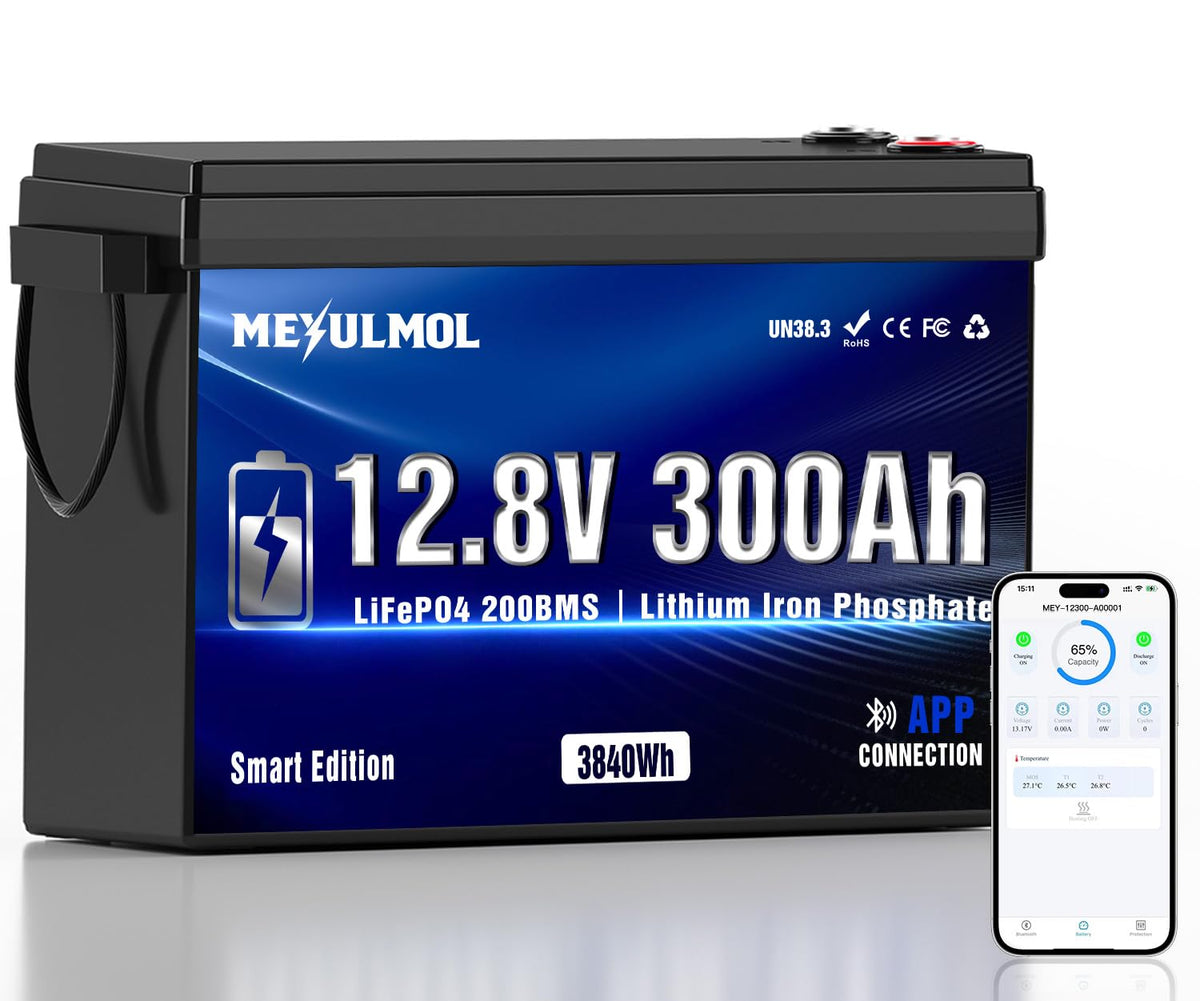 12V 300Ah LiFePO4 Lithium Battery with 200A BMS E37806