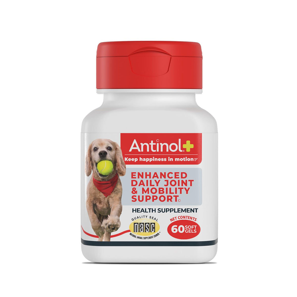 Hip & Joint Supplement for Dogs, 60 Soft Gels V696144
