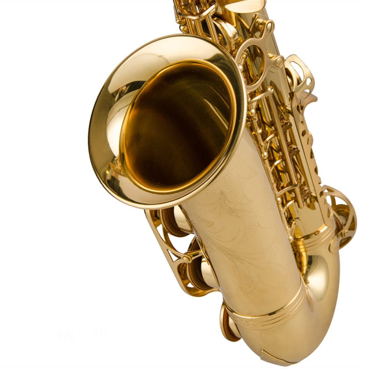 Alto Saxophone Lacquered Gold E-Flat Set G58053