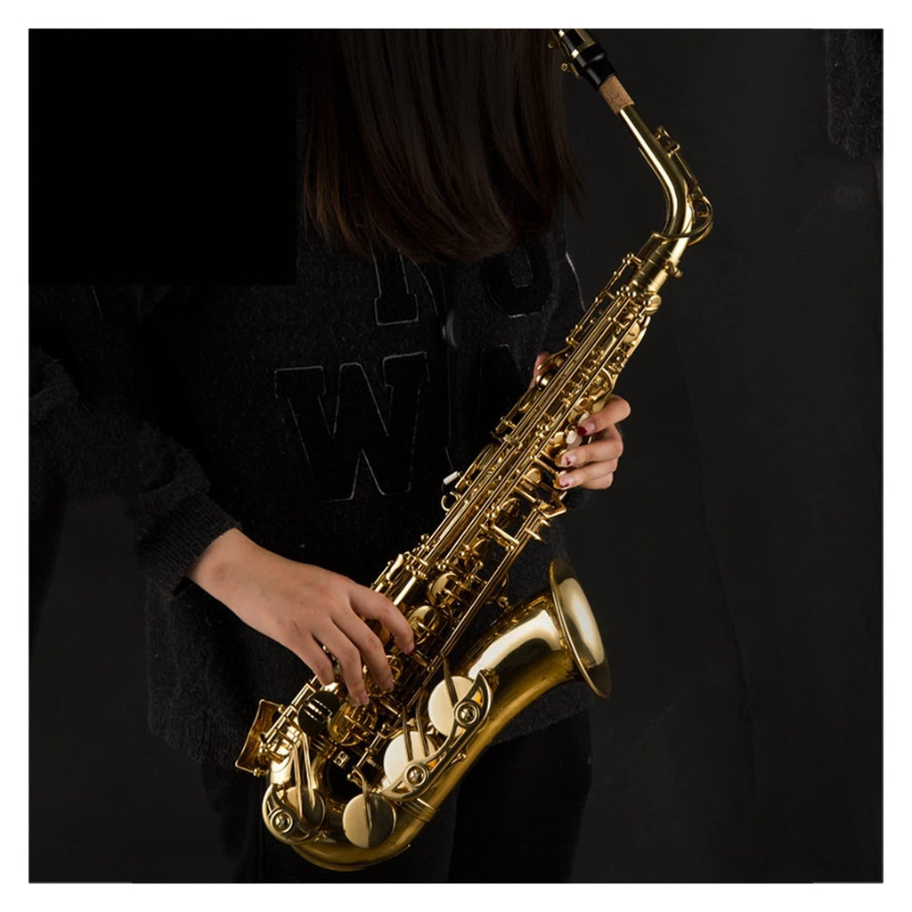 Alto Saxophone Lacquered Gold E-Flat Set G58053
