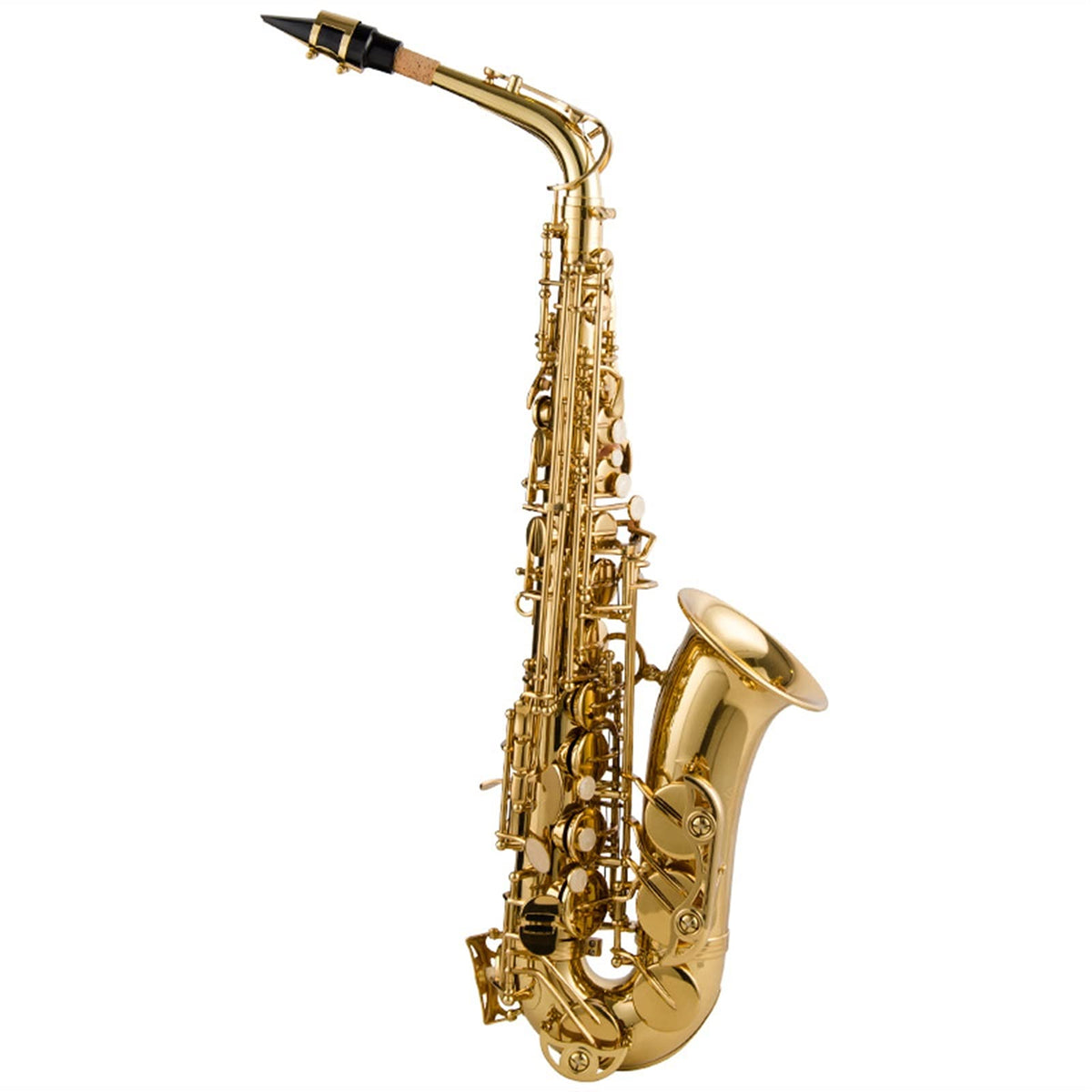 Alto Saxophone Lacquered Gold E-Flat Set G58053
