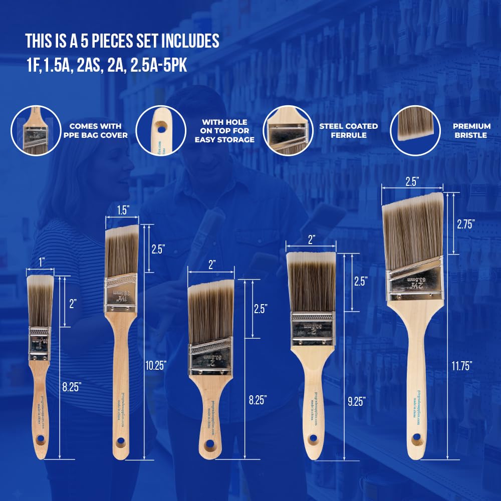 5-Piece Paint Brush Set V903