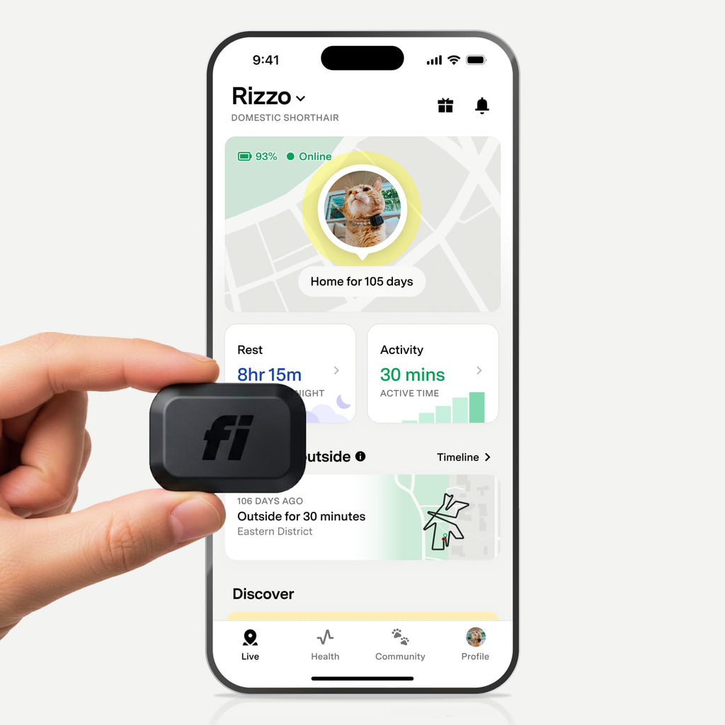 Mini GPS Cat Tracker Collar Attachment S76459