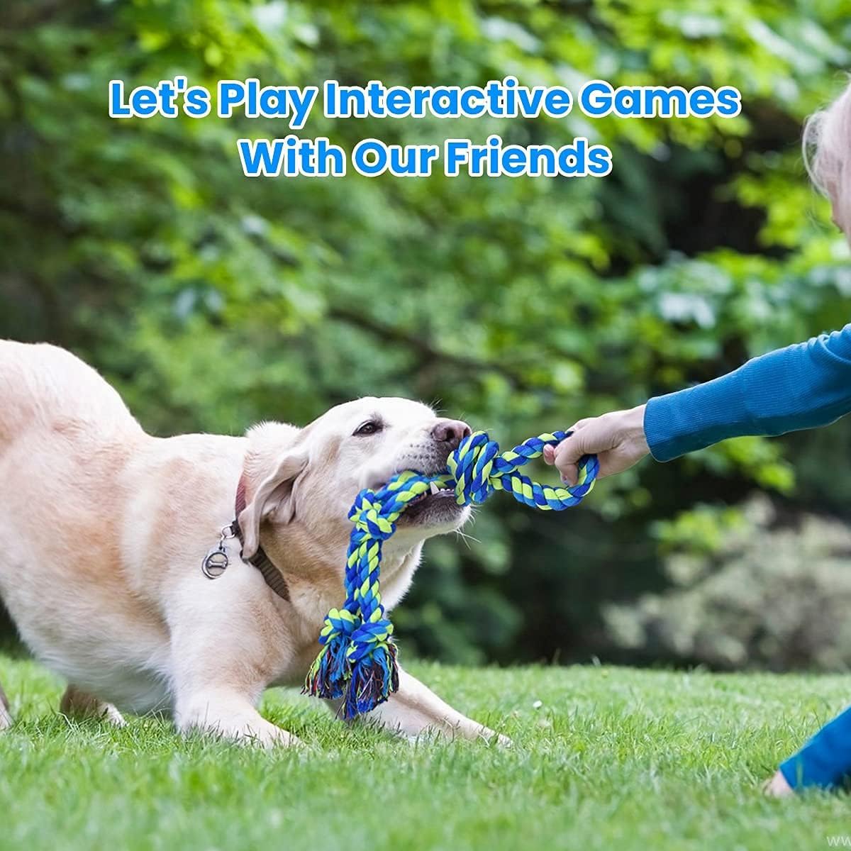Dog Rope Toys B6067
