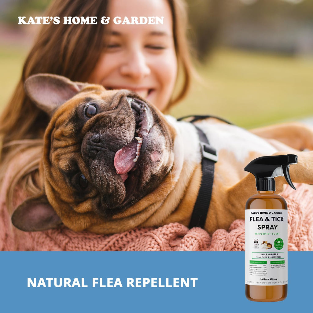 Flea and Tick Spray for Dogs & Cats 16oz T6435