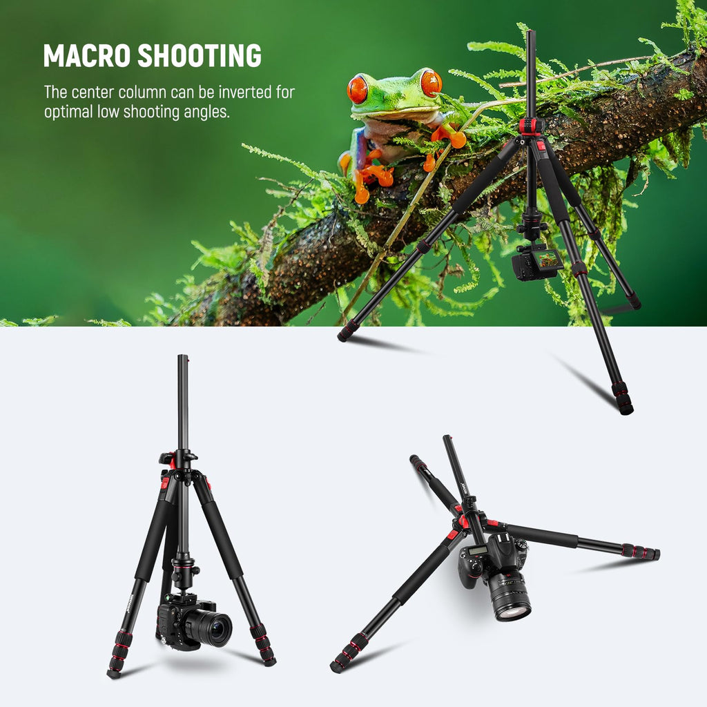 72 Inch Camera Tripod Monopod with Ball Head S3133