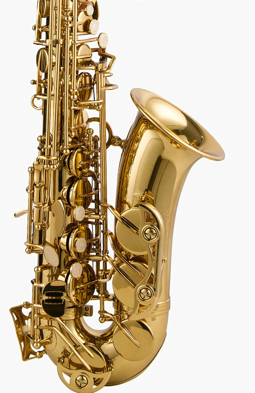Alto Saxophone Lacquered Gold E-Flat Set G58053