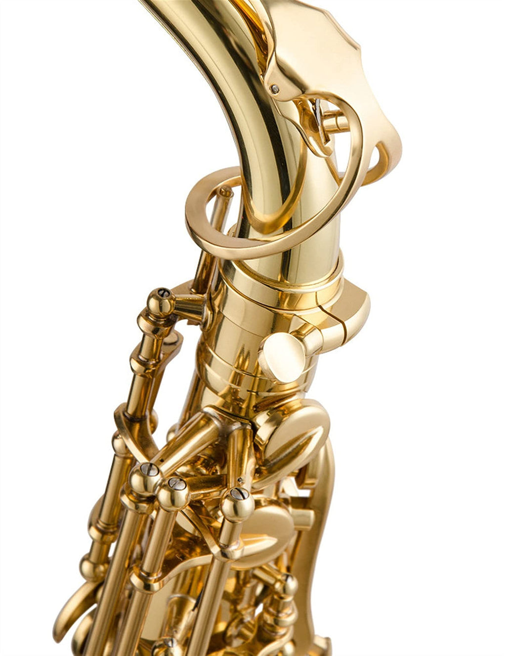 Alto Saxophone Lacquered Gold E-Flat Set G58053