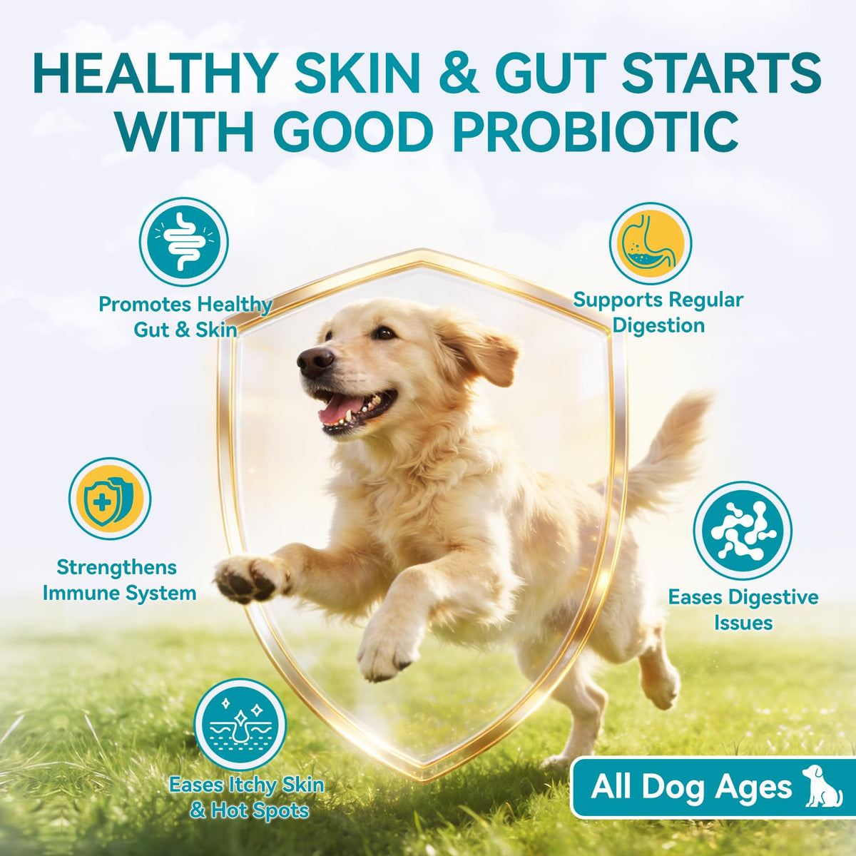 Probiotics for Dogs, 200 Soft Chews with Digestive Enzymes and Prebiotics W74836