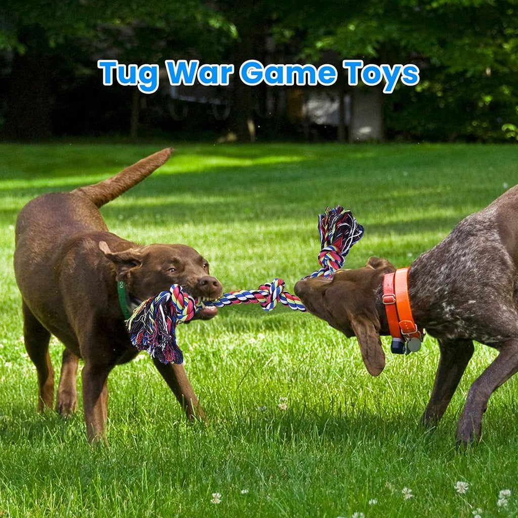 Dog Rope Toys B6067