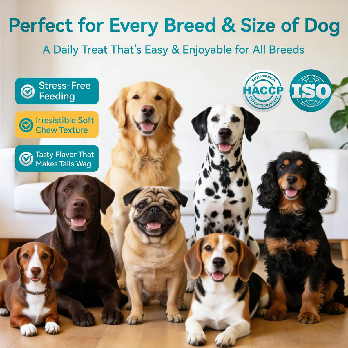 Probiotics for Dogs, 200 Soft Chews with Digestive Enzymes and Prebiotics W74836