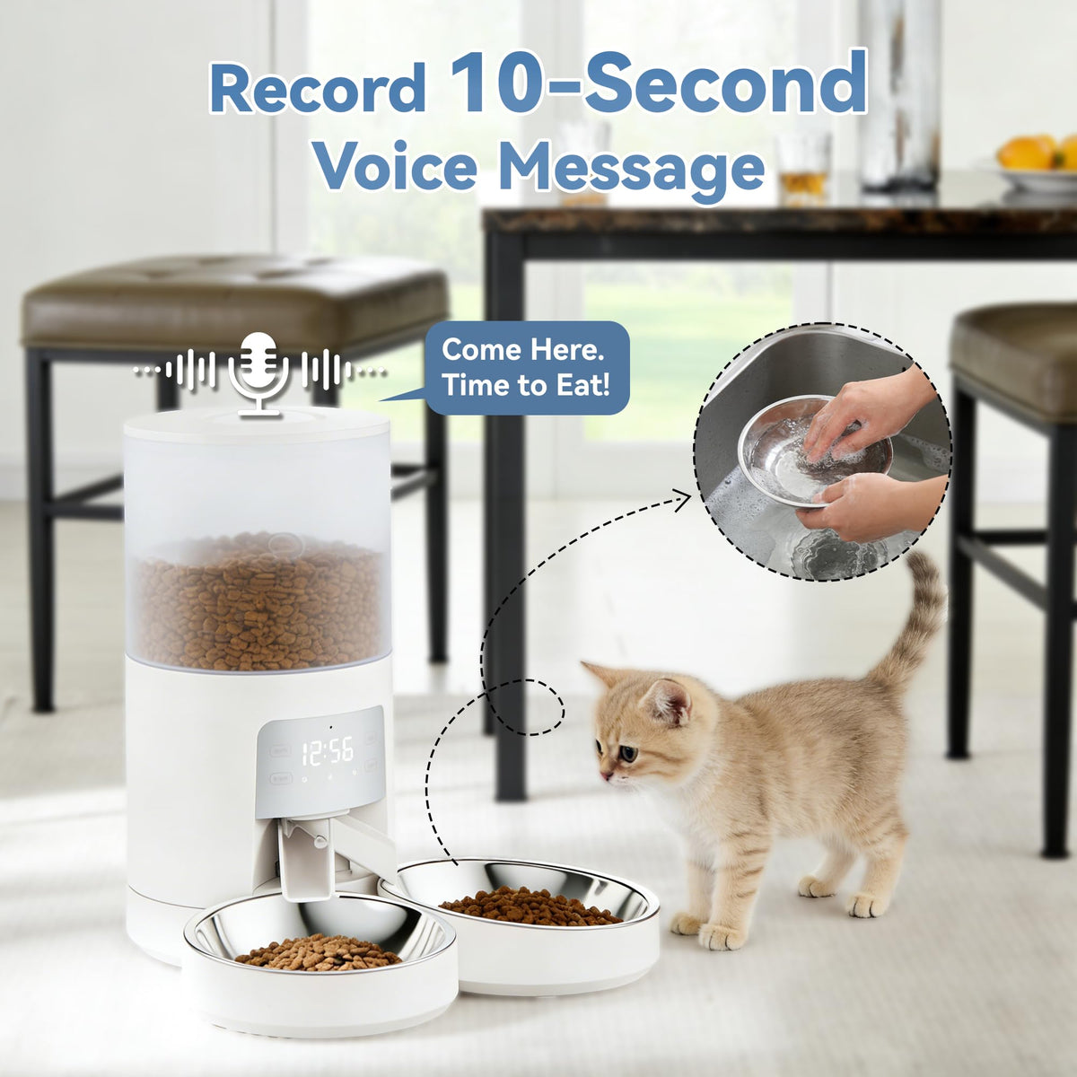 6L Automatic Cat Feeder P4530
