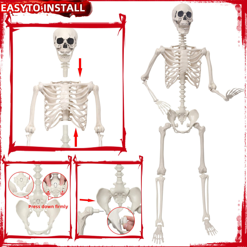 5.4Ft Poseable Skeleton Plastic Human Bones A560840