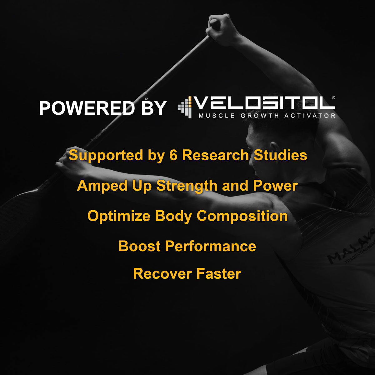 Vanilla Vegan Plant Based Protein Powder Q618064