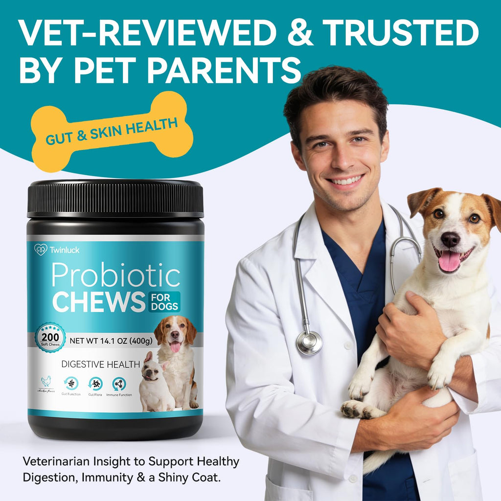 Probiotics for Dogs, 200 Soft Chews with Digestive Enzymes and Prebiotics W74836