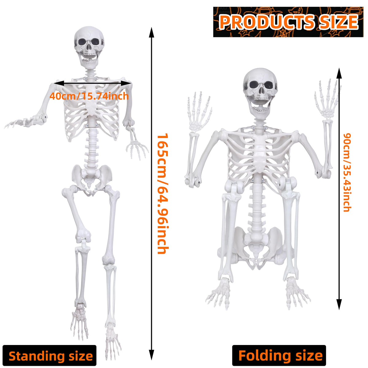 5.4Ft 2PCS Posable Skeleton with Movable Joints M763