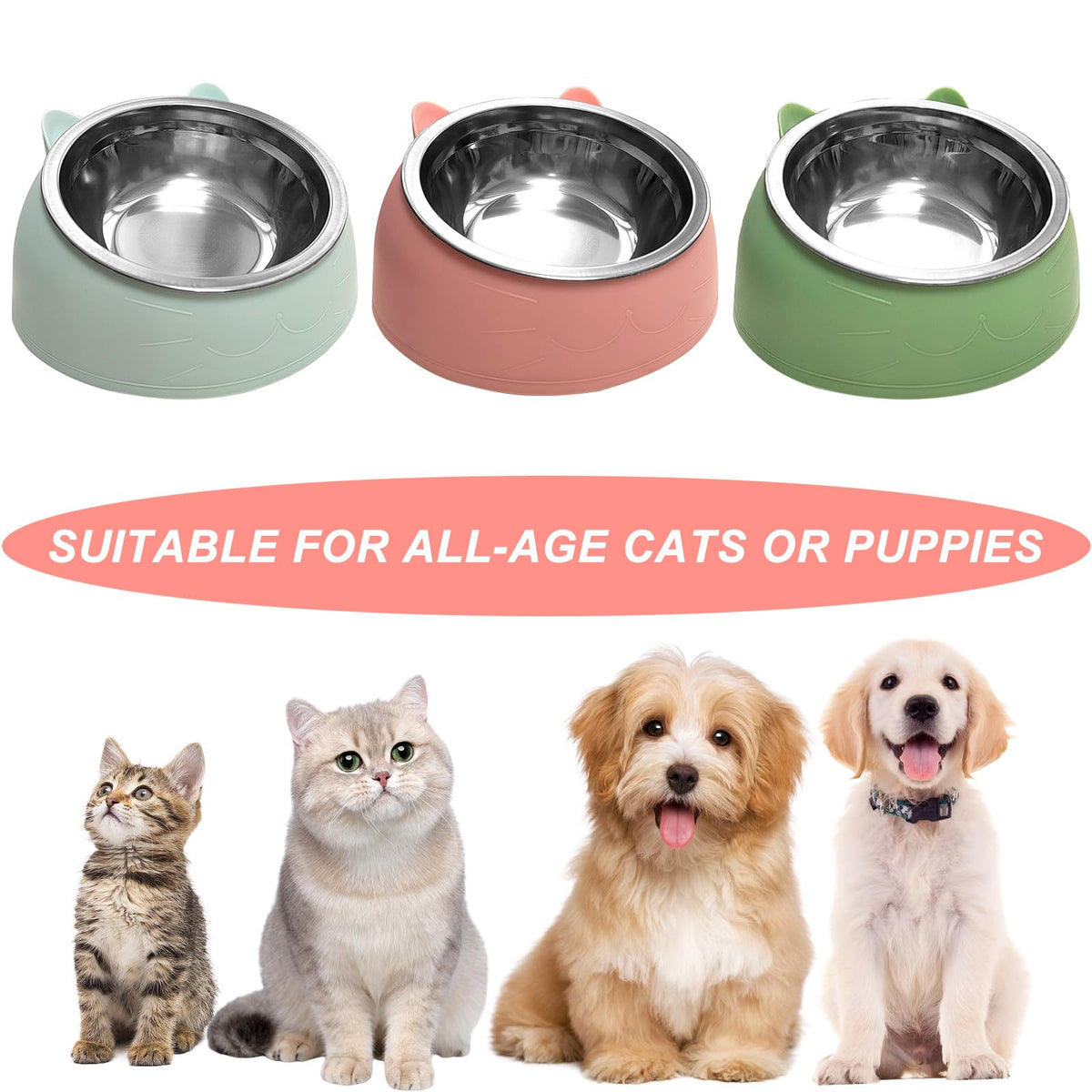 7 Pcs Stainless Steel Raised Cat Food Bowl O448