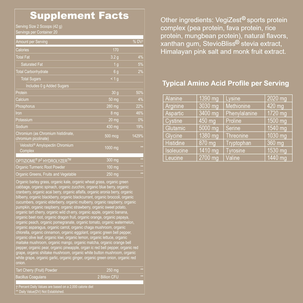Vanilla Vegan Plant Based Protein Powder Q618064