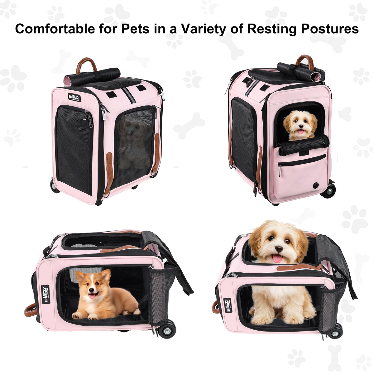 Rolling Dog & Cat Carrier F645161