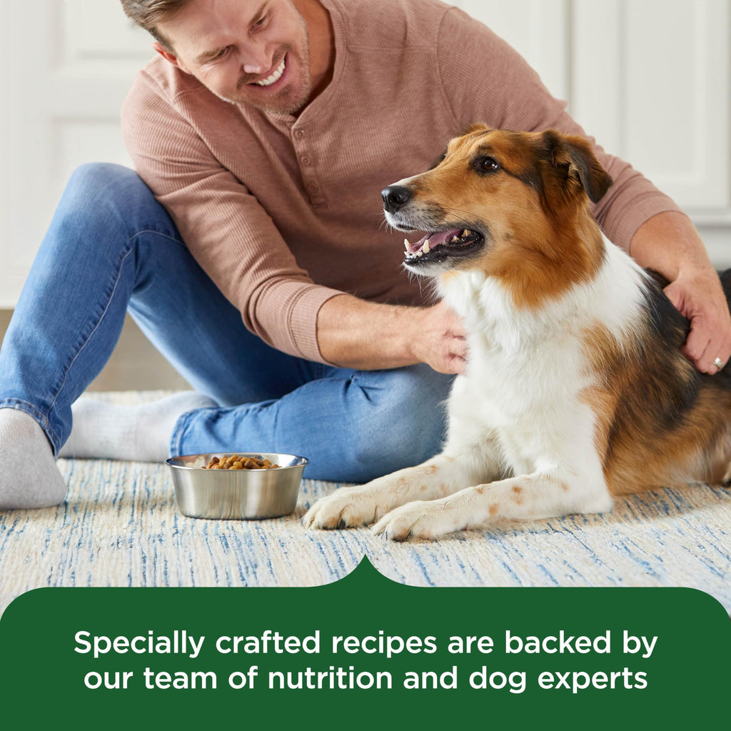 Dry Dog Food, Real Chicken & Veggies, 40 lb. Bag T75385