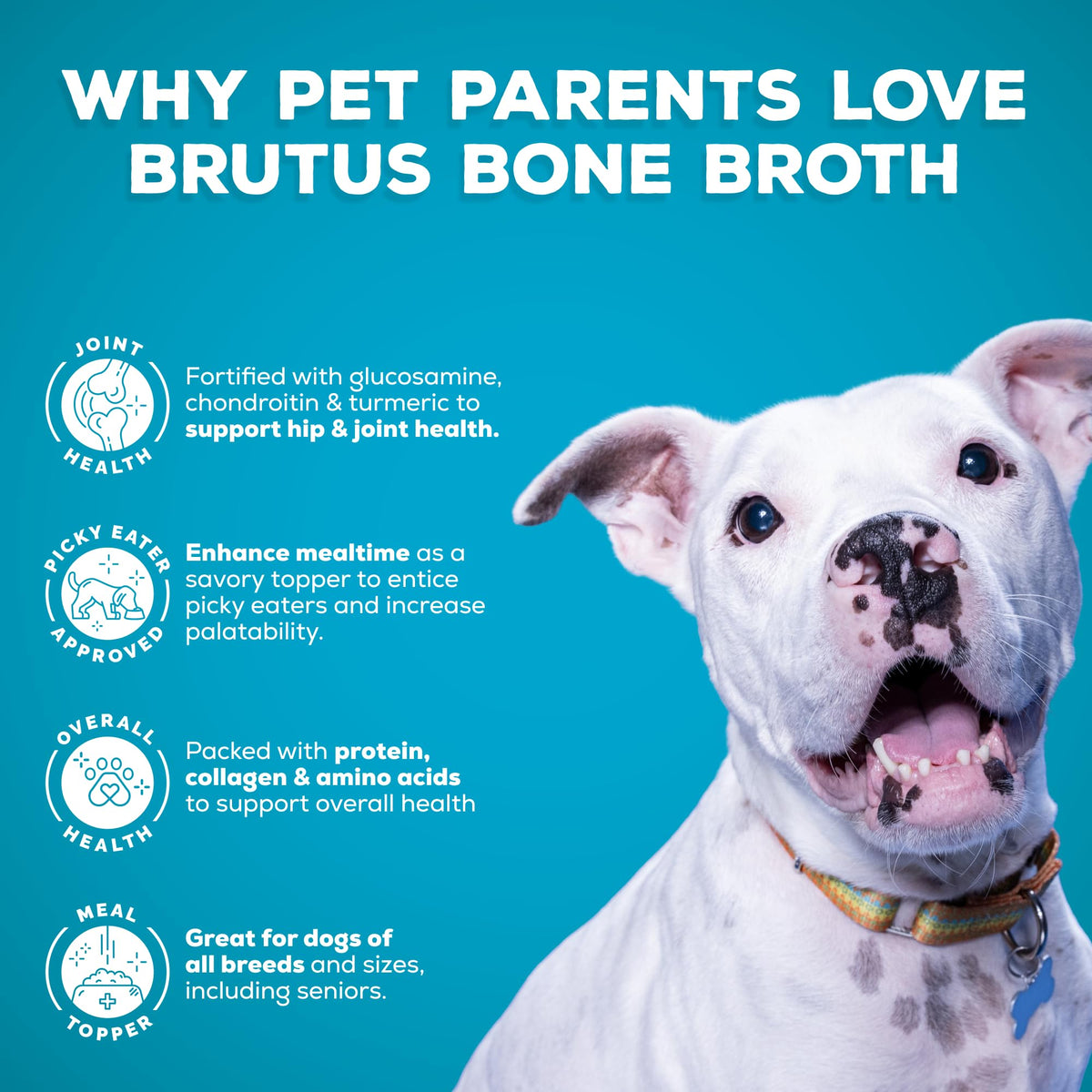 Bone Broth for Dogs with Chondroitin Glucosamine Turmeric 16.9oz Pack of 6 Q6249