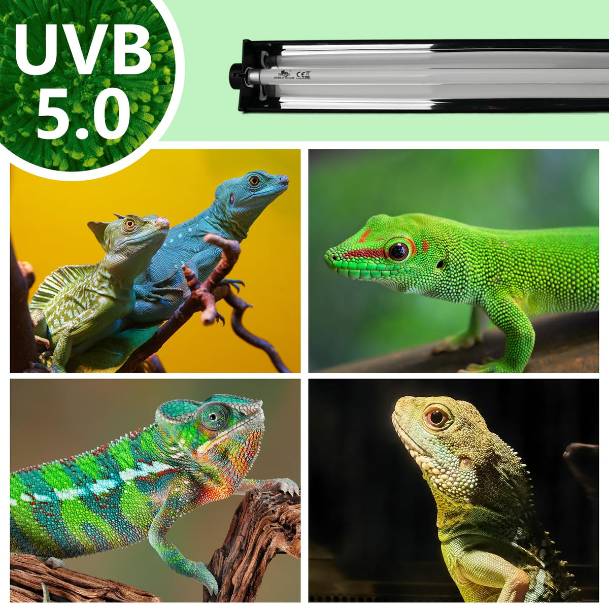 8W T5 UVB Lighting Combo Kit with Desert 5.0 Bulbs E6333