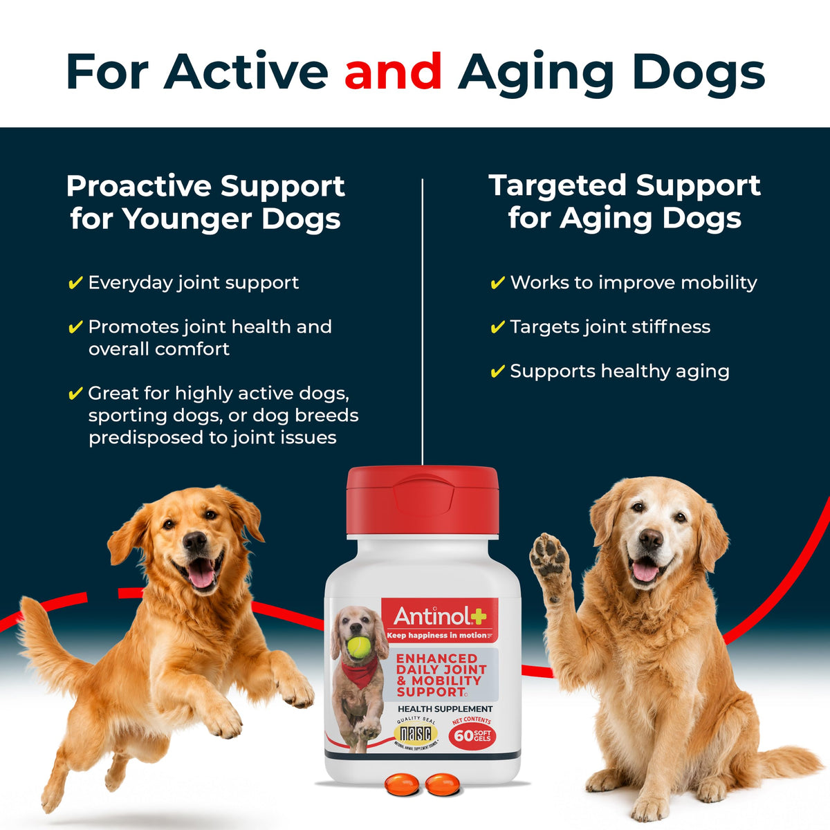 Hip & Joint Supplement for Dogs, 60 Soft Gels V696144