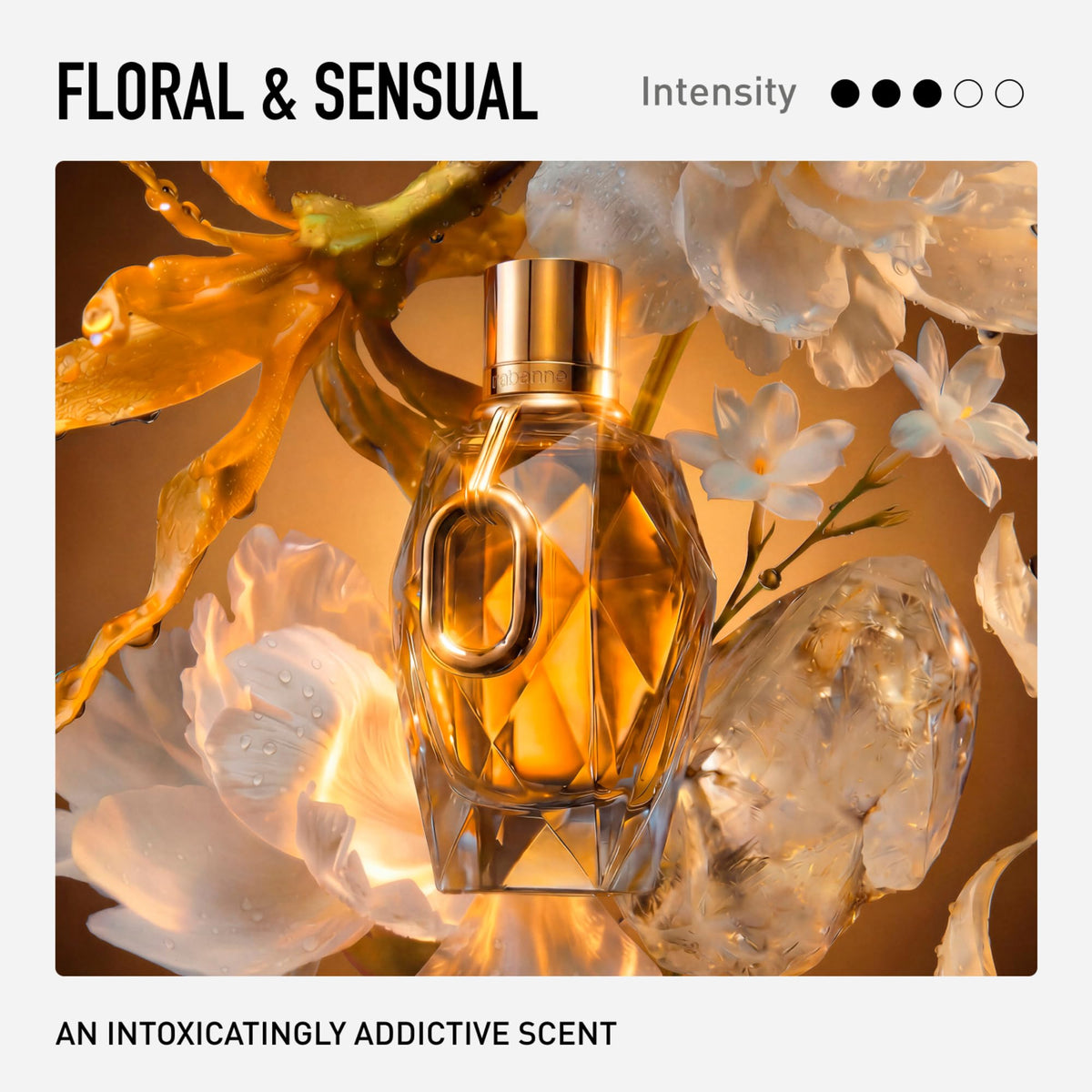 Eau de Parfum for Women U574004