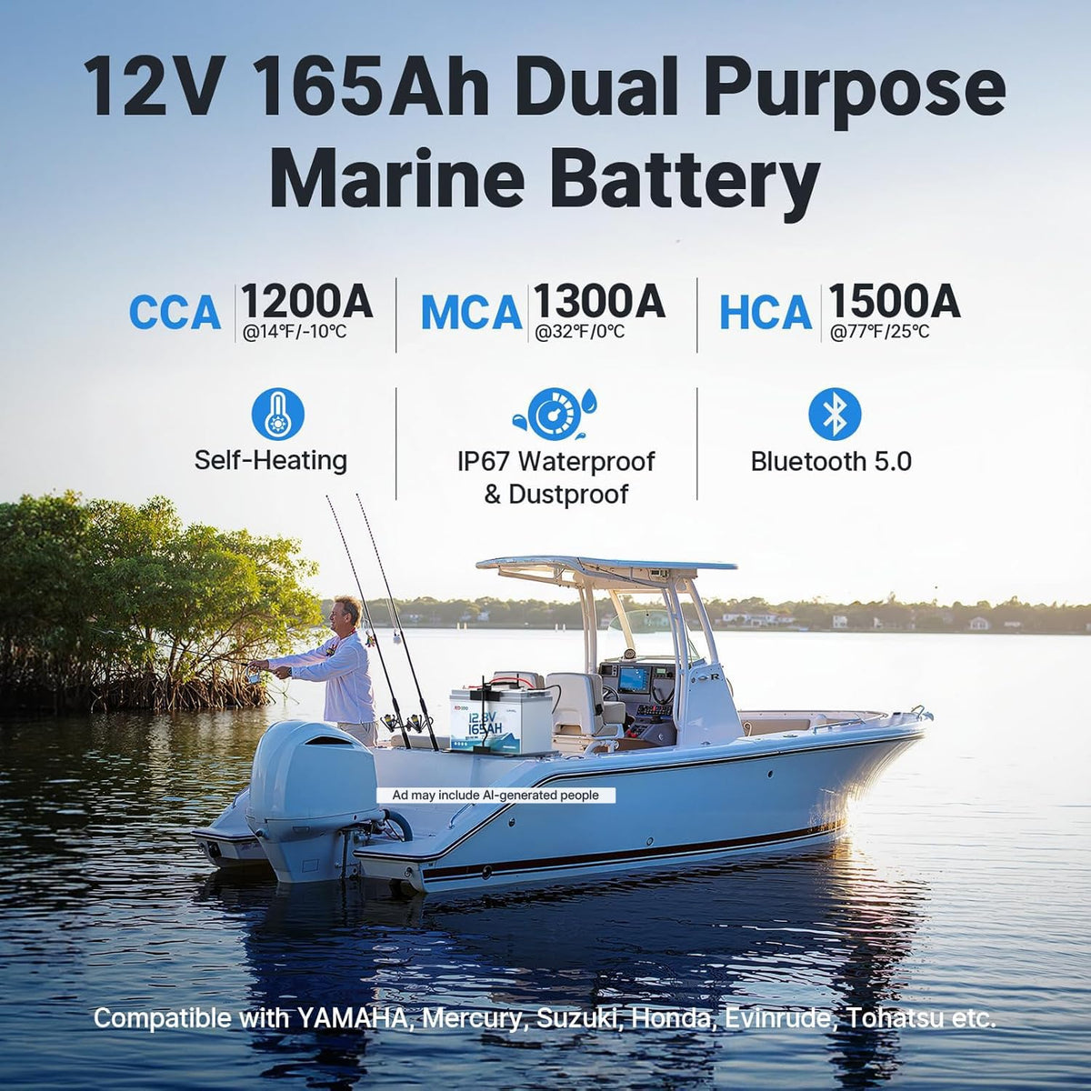12V 165Ah Dual Purpose Lithium Starting Battery T6485