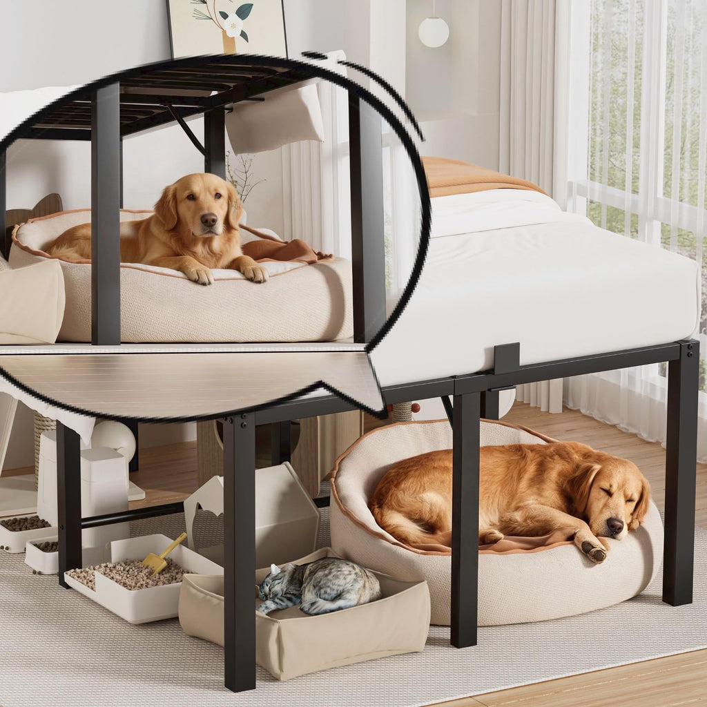 18 Inch Queen Size Black Metal Platform Bed Frame Z252178