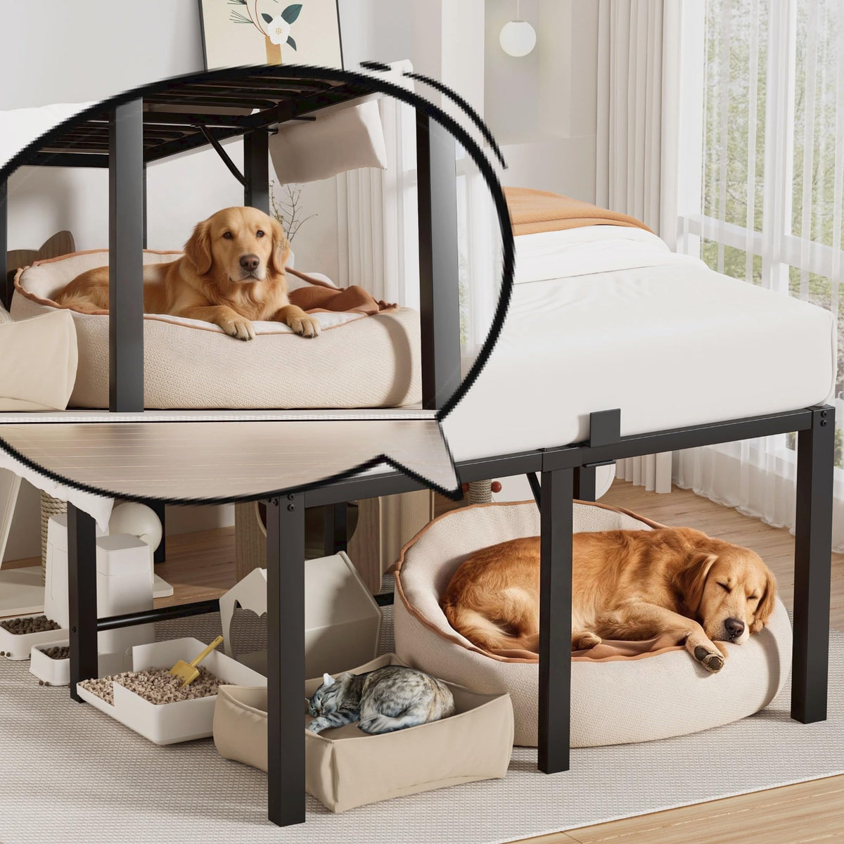 18 Inch Queen Size Black Metal Platform Bed Frame Z252178