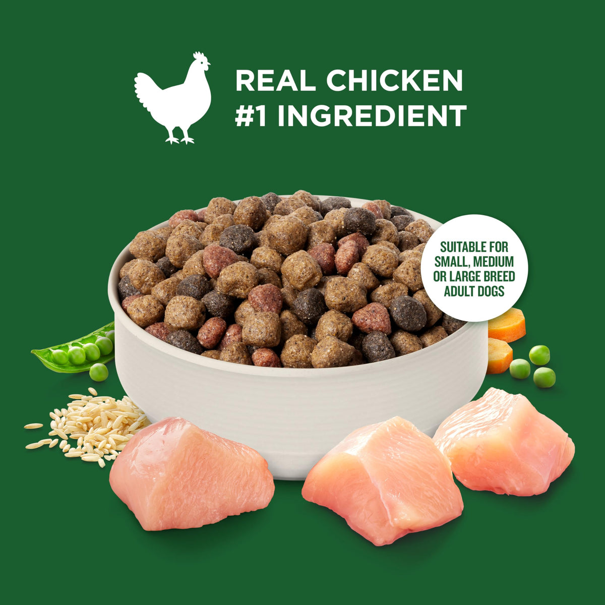 Dry Dog Food, Real Chicken & Veggies, 40 lb. Bag T75385