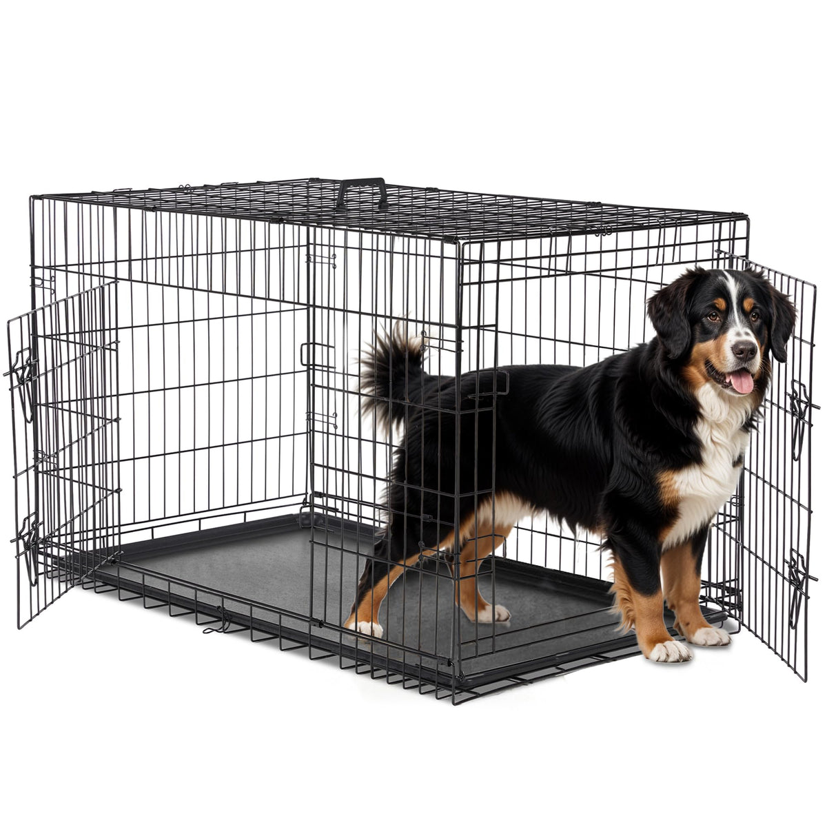 48 Inch Double Door Folding Metal Dog Crate with Divider P20758