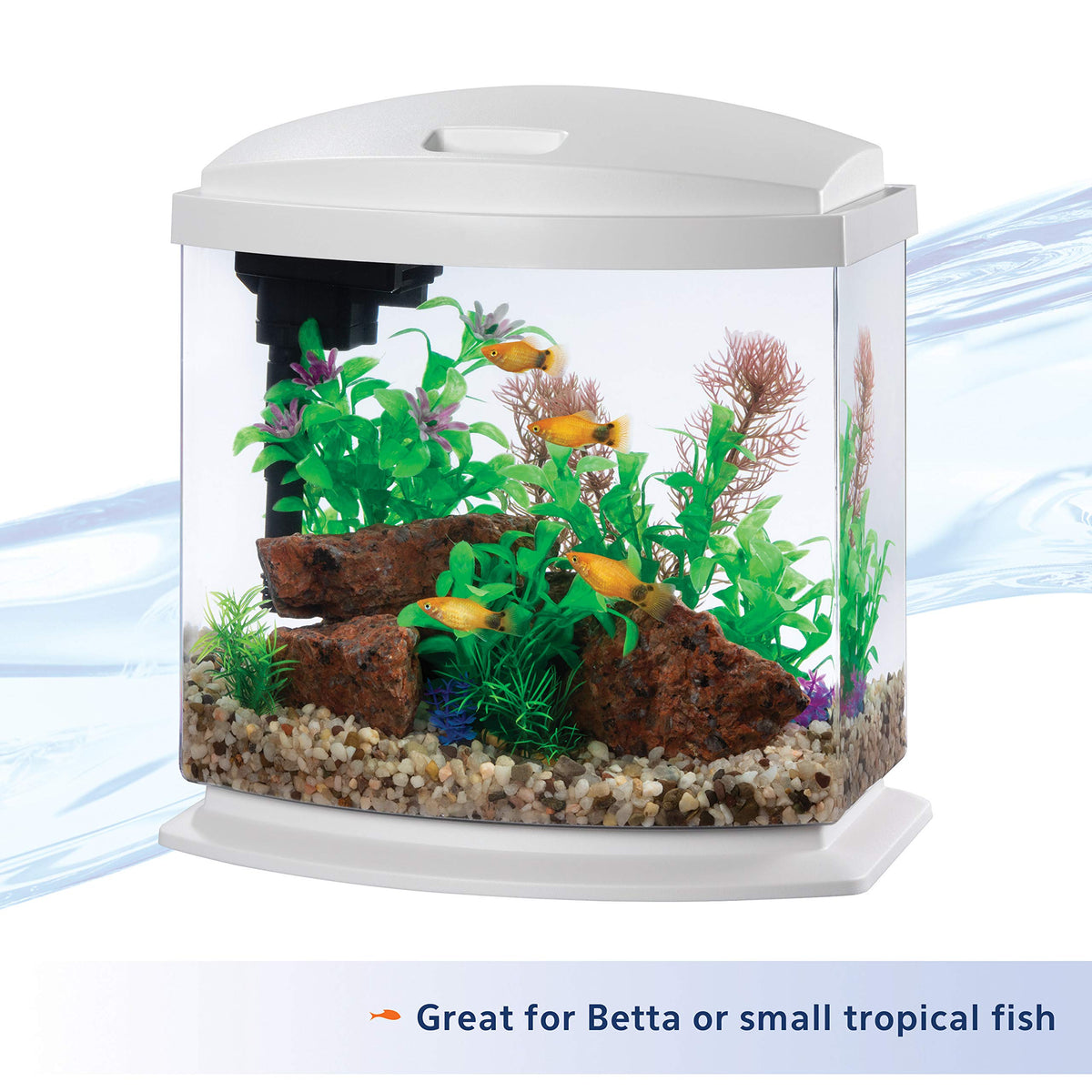 White 2.5 Gallon Aquarium Fish Tank Kit X7906