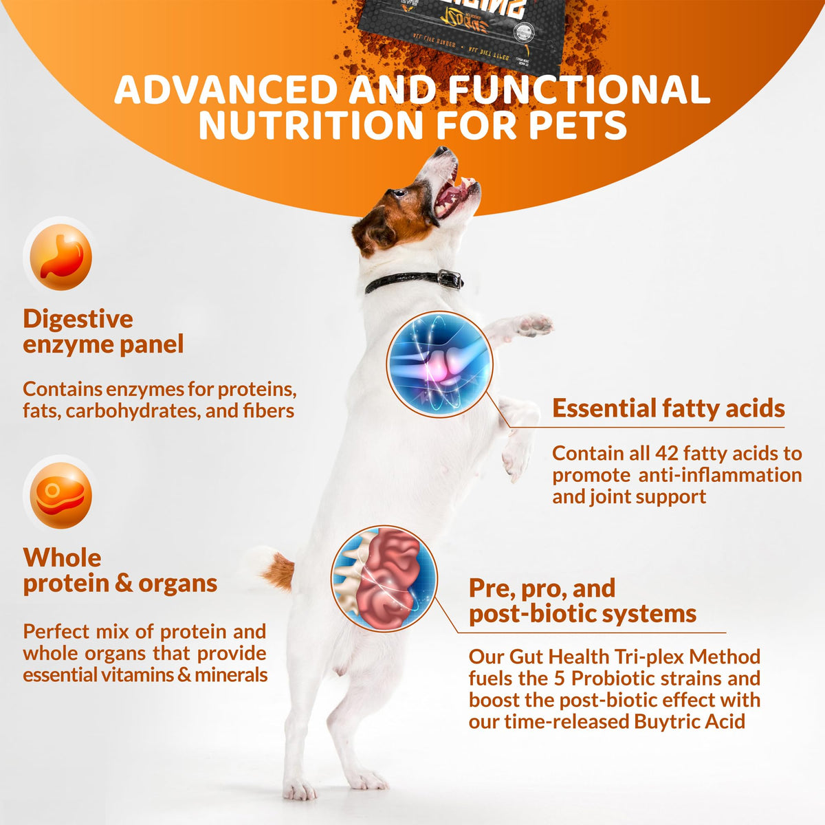 5-in-1 Dog Supplement Powdered Food Topper with Omega 3 Fish Oil 5 lbs V51642