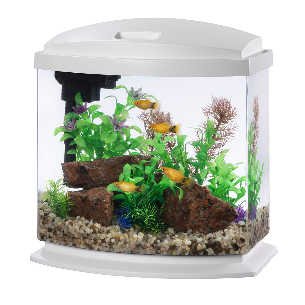 White 2.5 Gallon Aquarium Fish Tank Kit X7906