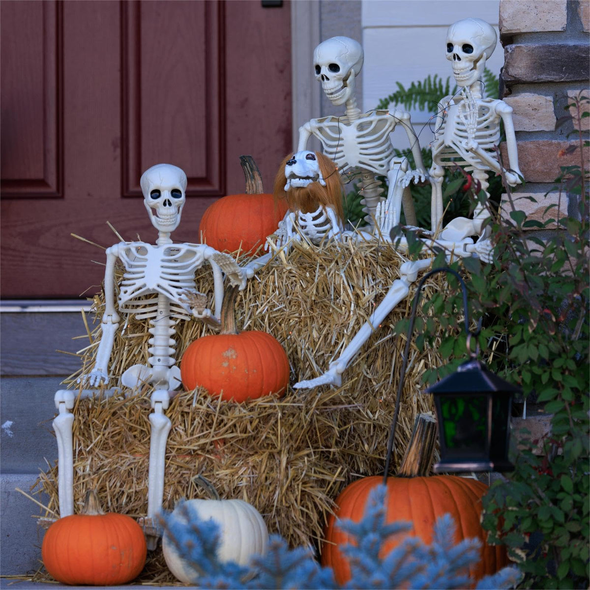 6 Pack Halloween Skeletons 3 5.4ft 3 3ft B432860