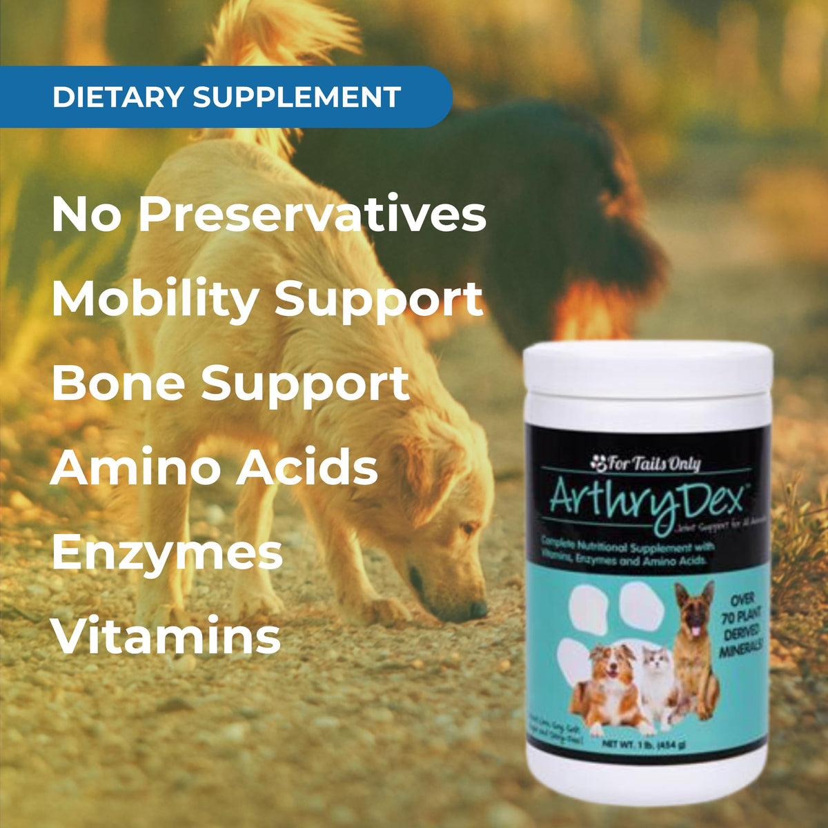 Pet Bone Support Supplement Powder 1 lb Canister G883460