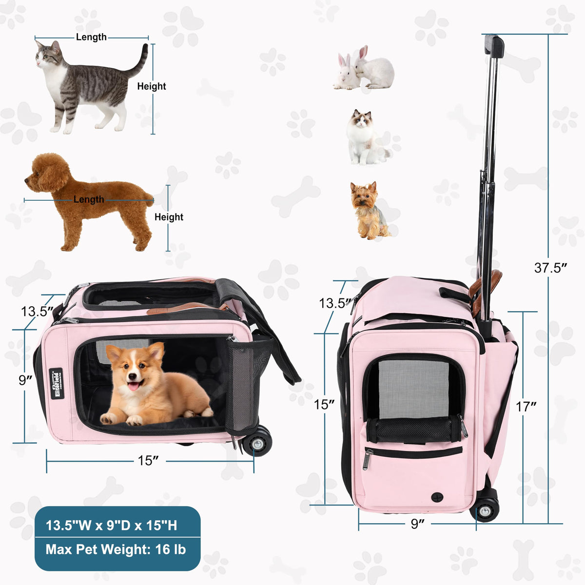 Rolling Dog & Cat Carrier F645161