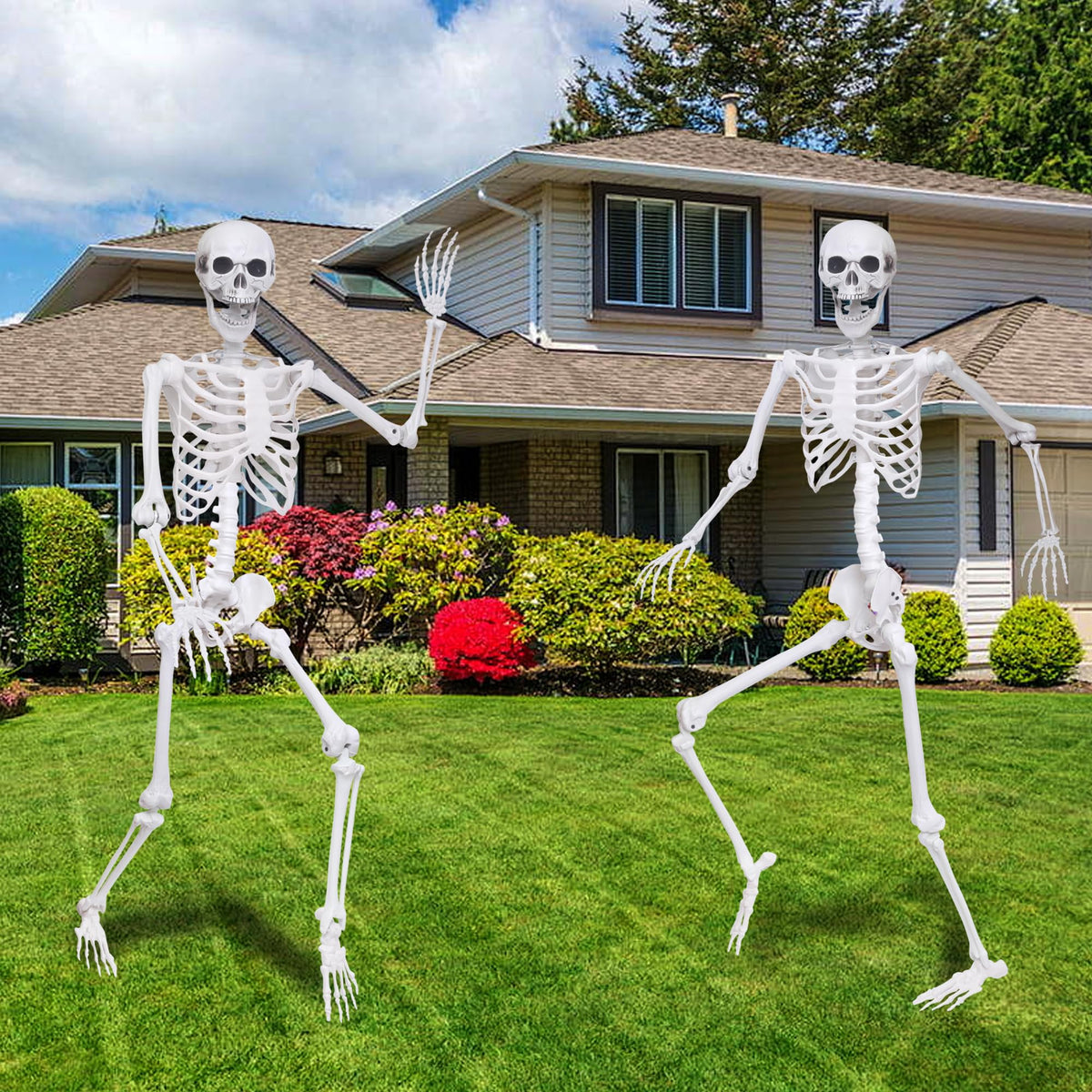 5.4Ft 2PCS Posable Skeleton with Movable Joints M763
